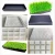 Import Swellder Plug trays &amp;flats, carry tray germination flats tray without holes wholesale microgreen trays from China