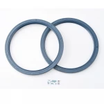 TC Oil Seal NBR rubber 39*60*9 mm (ID*OD*H) National Skeleton Sealing