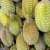 Import Thailand wholesale organic fresh durian from South Africa