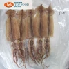 The High quality export wholesale seafood  giant squid dried