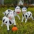 Import The Lovely Resin Fiberglass Sheep Family Statue Sculptures For Decoration from China