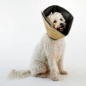 The Patented Comfy Cone by All Four Paws, Tan, Dogs, Medium, Soft Adjustable Pet Recovery E-collar w/Removable Stays [3]