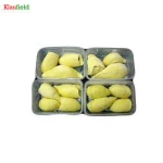 Top Grade Malaysia Frozen Durian Fruit Pulp
