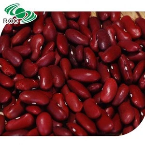 top quality british type red kidney bean