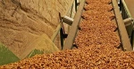 Top Quality EN plus-A1 6mm  Wood Pellets