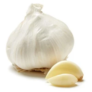 top quality fresh garlic for wholesale cheap price