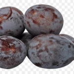 Top Quality Fresh Plums