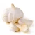 Import Top Quality From 15 Years Experience Manufacture Garlic Extract 5% Allicin Powder Price from China