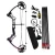 Import Topoint Archery Compound Bow M1,Beginner Package,320FPS,AXLE-AXLE 28&quot; from China