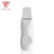 Import Ultrasonic Peeling Face Sonic Skin Scrubber from China