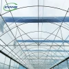 UV Resistant Durable 200 Micron Film Agriculture Multi span Film Greenhouse