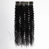 VMAE Mongolian Cuticle Aligned 6D Hair Extension Prebonded Hair Natural Color Afro Kinky Curly 3A 3B 3C 6D Human Hair Extensions