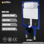 Wall hung toilet with dual flush concealed flushing cistern adapt geberitsigma flushing system