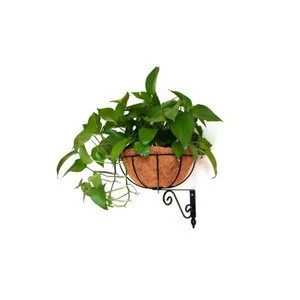 Wall mounted Metal Hanging Planter Basket With Coco Coir Liner for  Home Garden Patio Deck