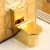 Import Western golden plated sanitary ware s trap bathroom wc toilet bowl one piece luxury ceramic gold toilet for sale from China