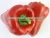 Import WHOLESALE BELL PEPPER FRESH YELLOW CAPSICUM from China