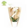 wholesale cheap plastic flower pot sleeves