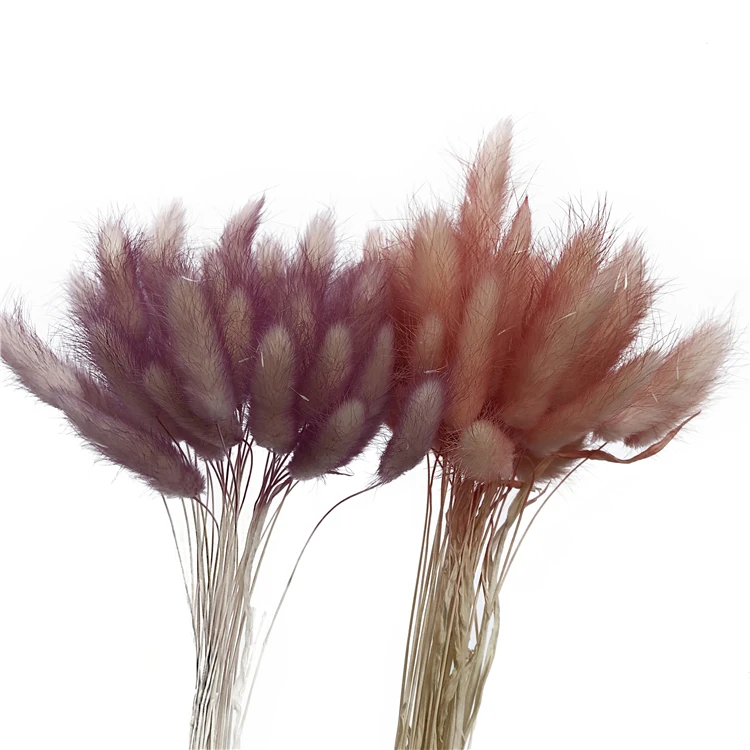 Wholesale cheap Real touch dried flower wedding home decor colorful dry lagurus Ovatus Bunny rabbit tail grass
