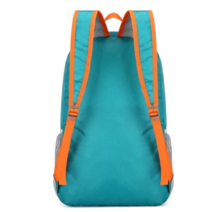 Wholesale Custom Logo Travel Hiking Sports Camping Folding Backpack Waterproof Foldable Portable Bag Travel Bag Backpack