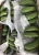 Import Wholesale Fresh Bananas / Fresh Cavendish Bananas / Fresh Green Bananas from Vietnam