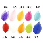 Wholesale Multi Color Dyed Leaf Vein Natural Skeleton Leaves Organic Craft