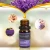 Import Wholesale Outstanding Lavender Scents Pure Essential Oil 100% Pure Natural Oil from China