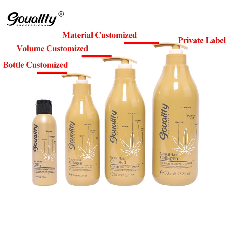 Wholesale Private Label Anti-dandruff Herbal Natural Coconut Organic Ginger Keratin Vegan Argan Oil Hair Shampoo and Conditioner
