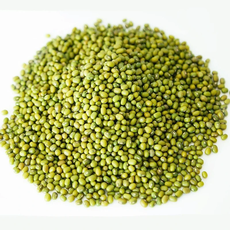 Wholesale Small Green Gram Vigna Bean Mung Beans In Bulk