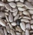 Import WholesaleCrop Helianthus Annuus Sunflower Seeds for Bakery from China