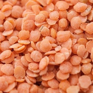 Whole/Split Green Lentils | Red Lentils | Brown Lentils Suppliers, Masoor Dal, FACTORY Price