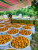 Import Fresh Oranges from Indonesia
