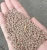 Import Premium Quality Red/Green/Brown Lentils for sale from Tanzania
