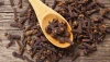 CLOVES;SPICES