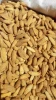 Almond kernel