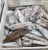 Import Frozen Octopus, Squid & Cuttlefish – Morocco/Mauritania Origin from USA