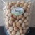 Import Quality Raw Macademia Nuts Kernels from Hungary
