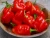 Import Fresh Red Chili pepper from Hungary