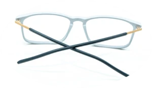 DJ23004 Eye Glasses