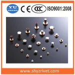 Electrical Contact Rivet for The Relay