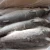 Import Frozen Gutted Grey Mullet from China