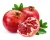 Import Wonderful Fresh Egyptian Pomegranates from Egypt