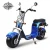 Import GW 1500 W CO CO City Scooter from Taiwan