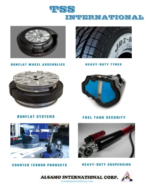 TSS Vehicle Security Products