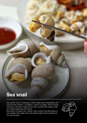 Frozen Sea snail