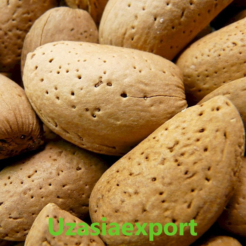 Buy Almonds from IT EXPORT ASEAN LLC, Uzbekistan | Tradewheel.com