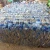Import Clean and Sorted PET Bottle Scrap Available in Bulk from Kenya