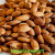 Import Almonds from Uzbekistan