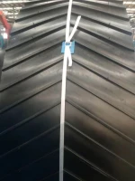 Chevron conveyor belt