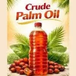 Palm Oil
