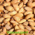 Import Almonds from Uzbekistan